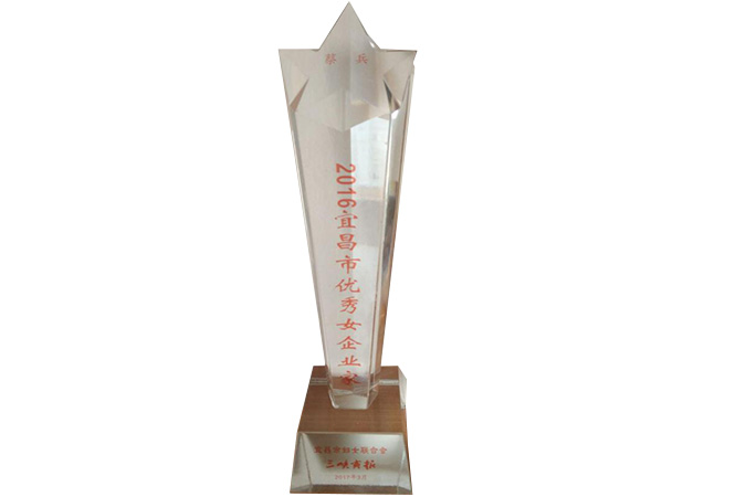蔡總2016宜昌市優(yōu)秀女企業(yè)家.jpg